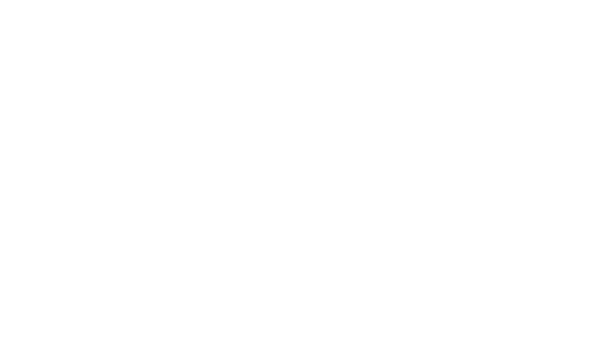 Noahs Park Logo