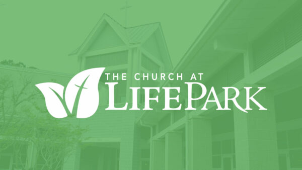 Trust God's Plan Image