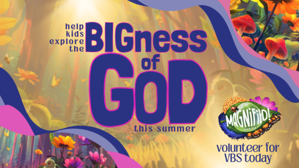 Vbs volunteer 2025 (1)