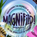 Magnified slide