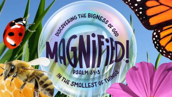 Magnified slide