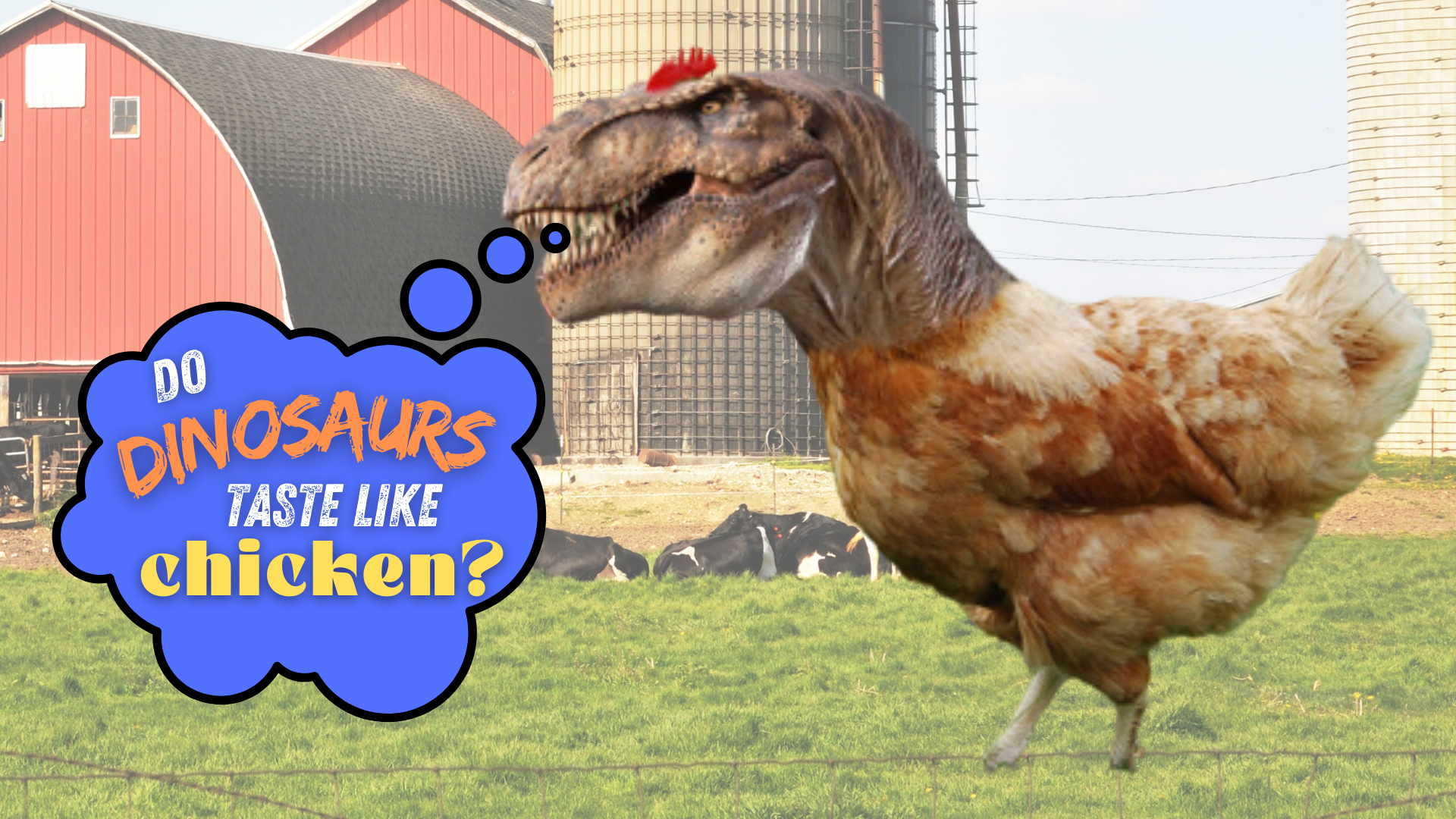 Chicken slide