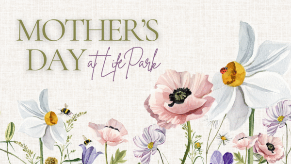 Mother's Day 2025