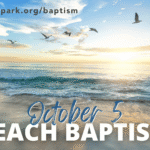 Beach baptism (13)