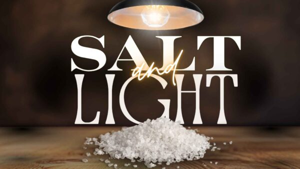 Salt & Light