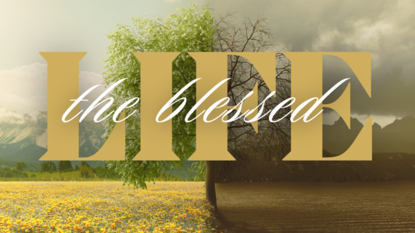 The Blessed Life